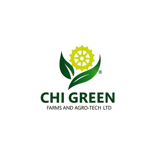Your Company