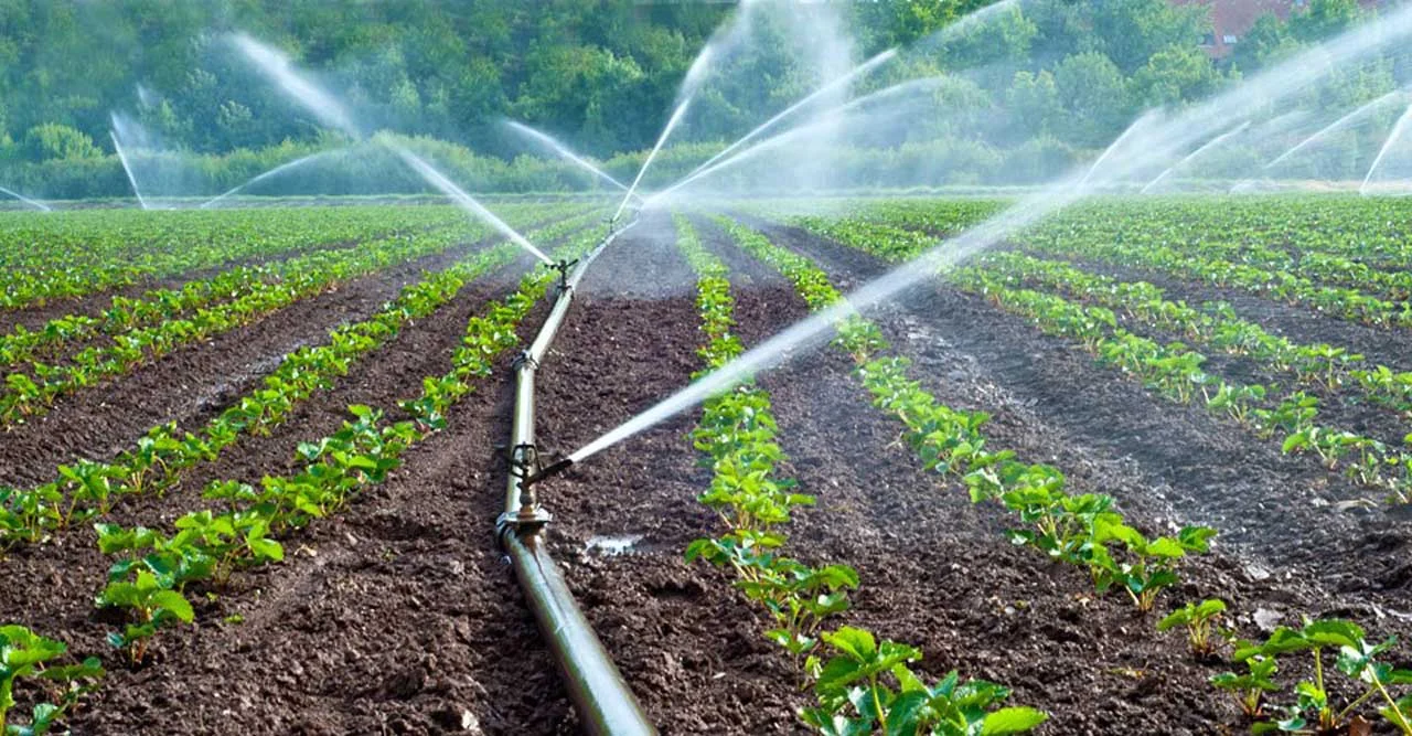 Modern Farming Techniques